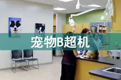寵物b超機(jī)價(jià)格多少錢(qián)一臺(tái)？寵物B超為什