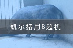 獸用b超機(jī)會(huì)給養(yǎng)豬場(chǎng)帶來(lái)哪些效益？